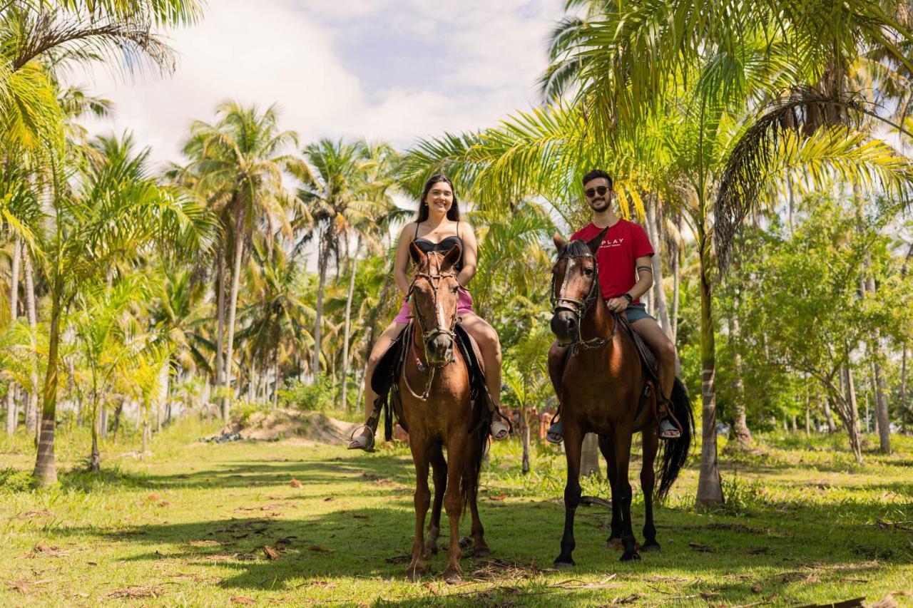 Eco Pousada Paraiso Dos Coqueirais Japaratinga Exterior foto