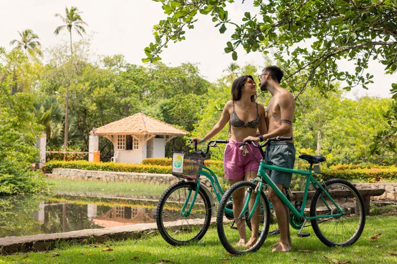 Eco Pousada Paraiso Dos Coqueirais Japaratinga Exterior foto