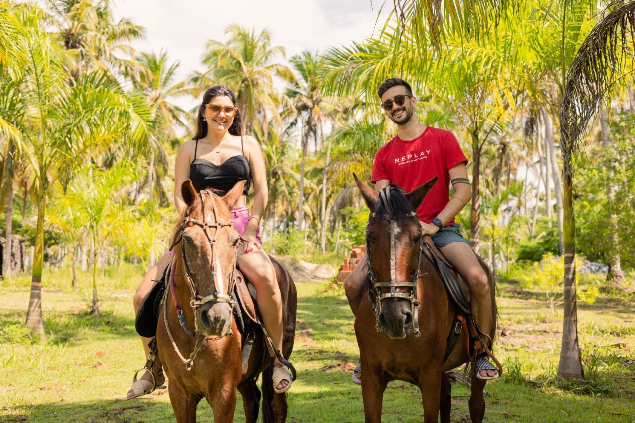 Eco Pousada Paraiso Dos Coqueirais Japaratinga Exterior foto
