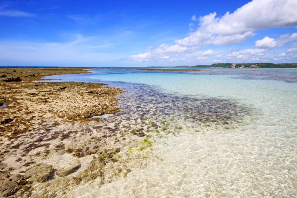 Eco Pousada Paraiso Dos Coqueirais Japaratinga Exterior foto