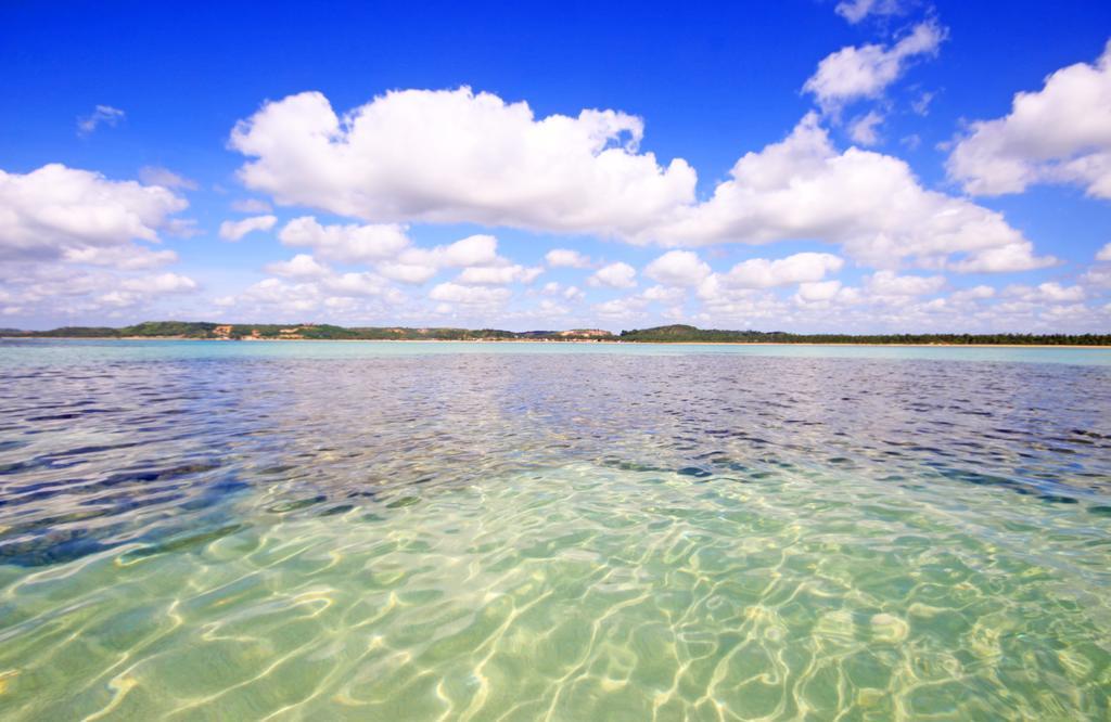 Eco Pousada Paraiso Dos Coqueirais Japaratinga Exterior foto