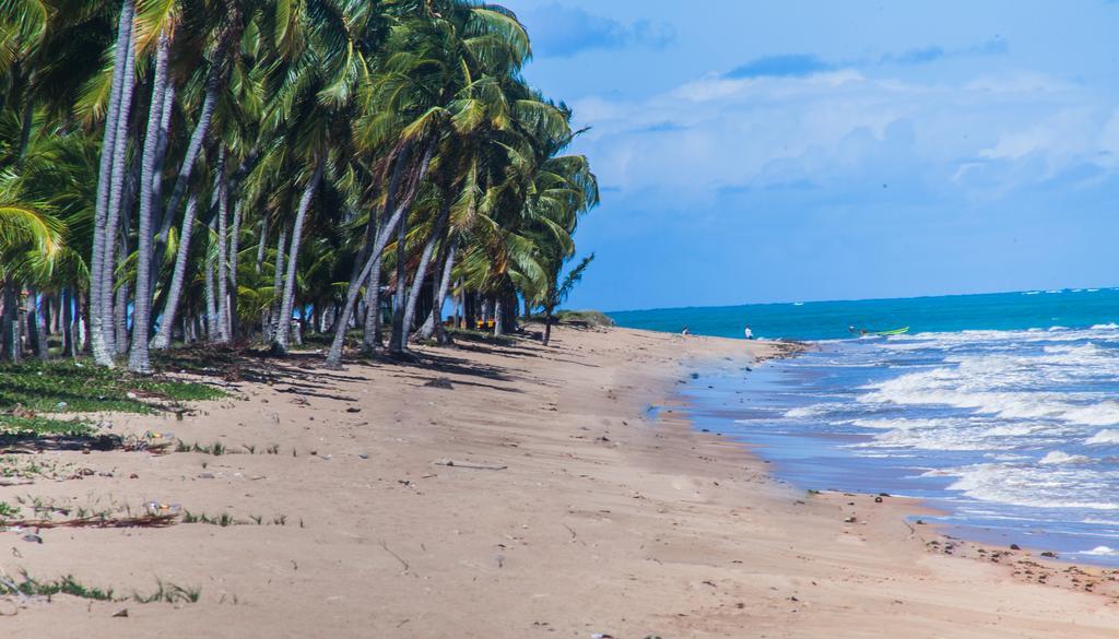 Eco Pousada Paraiso Dos Coqueirais Japaratinga Exterior foto