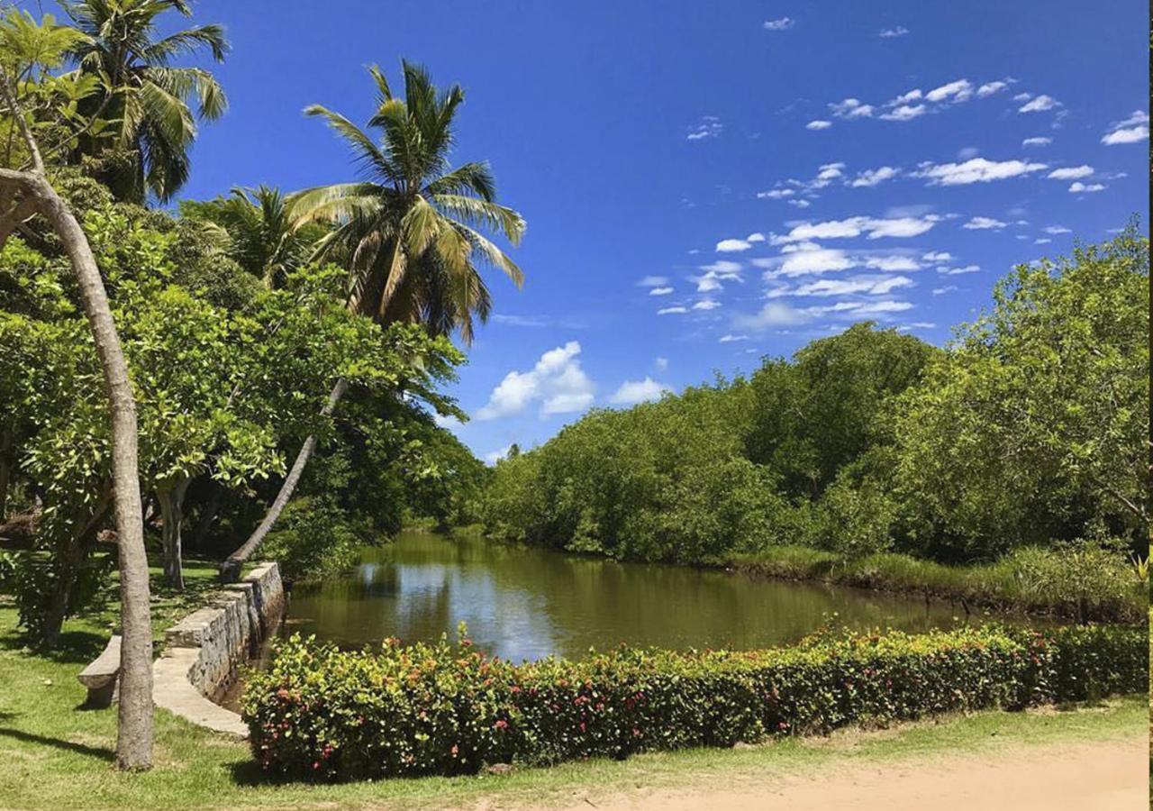 Eco Pousada Paraiso Dos Coqueirais Japaratinga Exterior foto