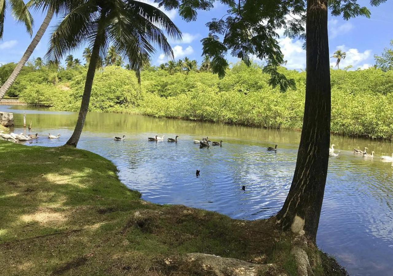 Eco Pousada Paraiso Dos Coqueirais Japaratinga Exterior foto