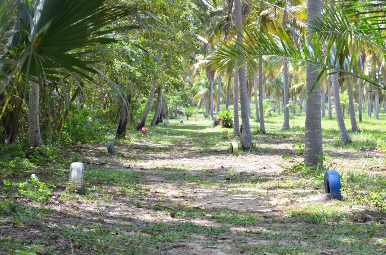Eco Pousada Paraiso Dos Coqueirais Japaratinga Exterior foto